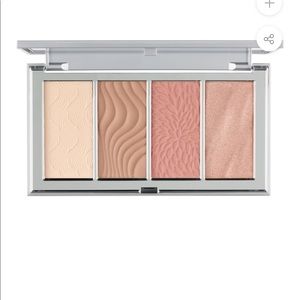 Pür 4 in 1 Skin Perfecting Powders Face Palette
